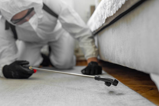 Professional Ant Control technician working in Brentwood, NY