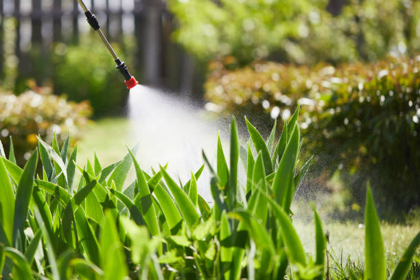 24/7 Emergency Mosquito Control experts in Brentwood, NY